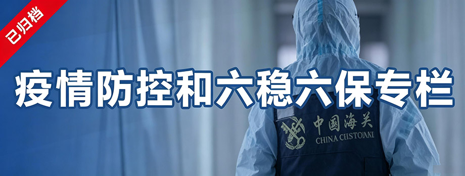 疫情防控和六稳六保