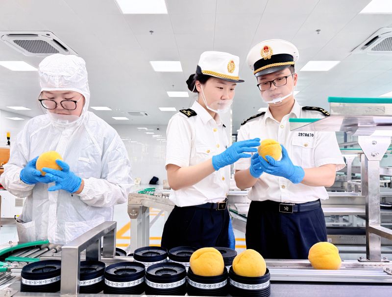 浙产黄桃首次出口塞尔维亚